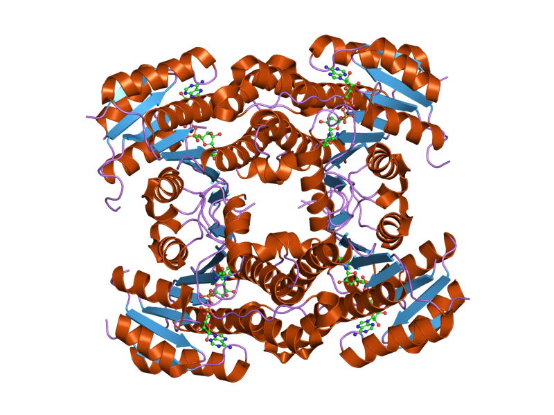 File:PDB 2pd6 EBI.png