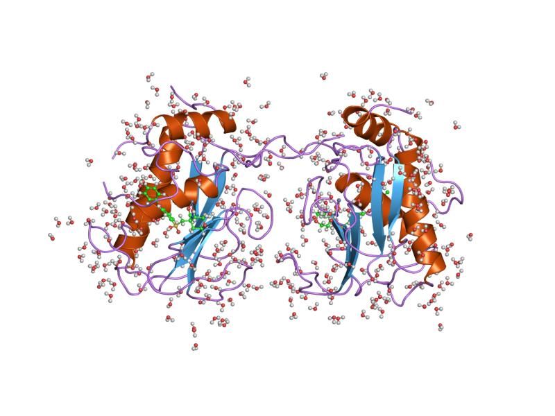 File:PDB 830c EBI.jpg