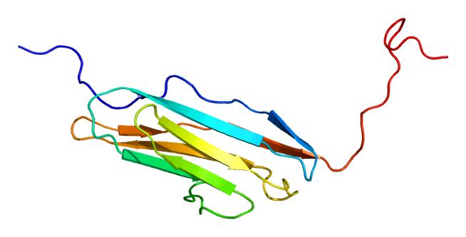 File:Protein MYLK PDB 2cqv.png