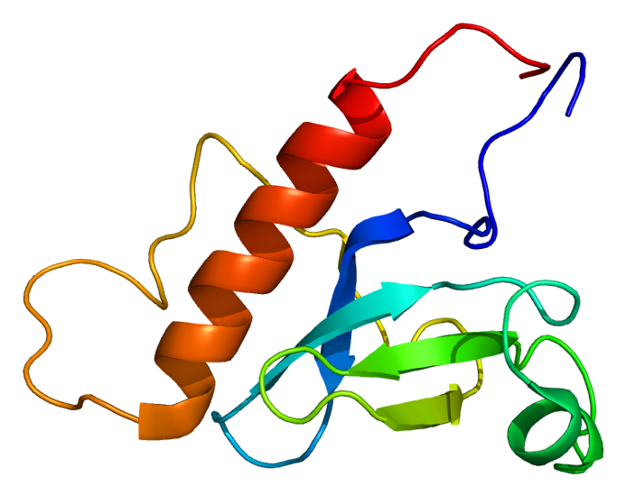 File:Protein WHSC1L1 PDB 2daq.png