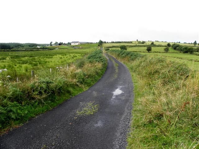 File:Road at Altateskin townland (geograph 3597442).jpg