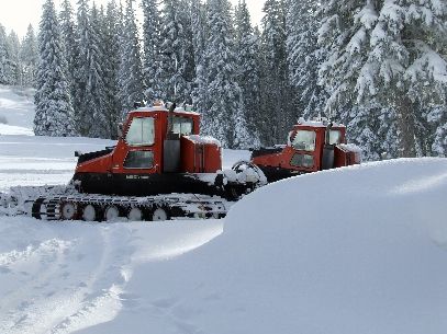 File:Snowcats.jpg