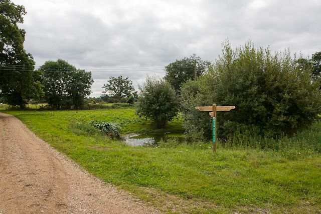 File:Turmer Pond - geograph.org.uk - 1465268.jpg