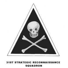 File:31 strategic reconnaissance sq.jpg