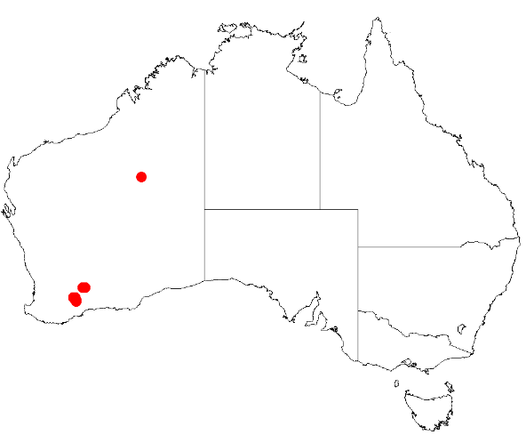 File:Acacia lanuginophyllaDistMap508.png