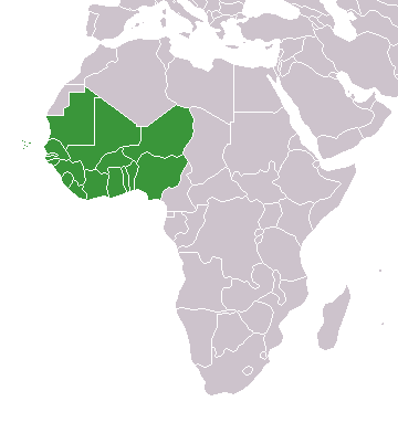 File:Africa-countries-WAFU-UFOA.png