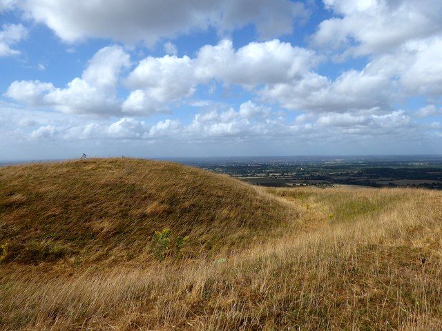 File:Castle Ring, Edburton Hill (1) (geograph 5861621).jpg