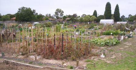 File:Community Garden, Melbourne, Australia.jpg