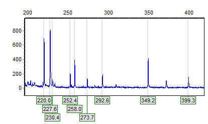 File:Electropherogram trace.jpg