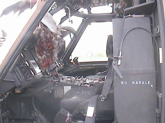 File:IAF UH-60 after birds strike inside.jpg