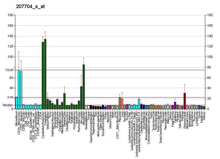 File:PBB GE GAS7 207704 s at fs.png