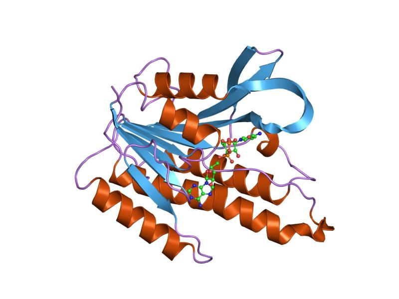 File:PDB 1hdr EBI.jpg