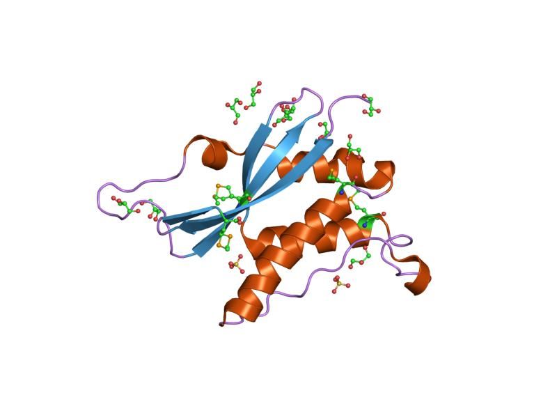 File:PDB 1kq6 EBI.jpg