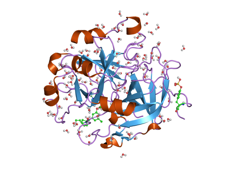 File:PDB 1t4v EBI.png