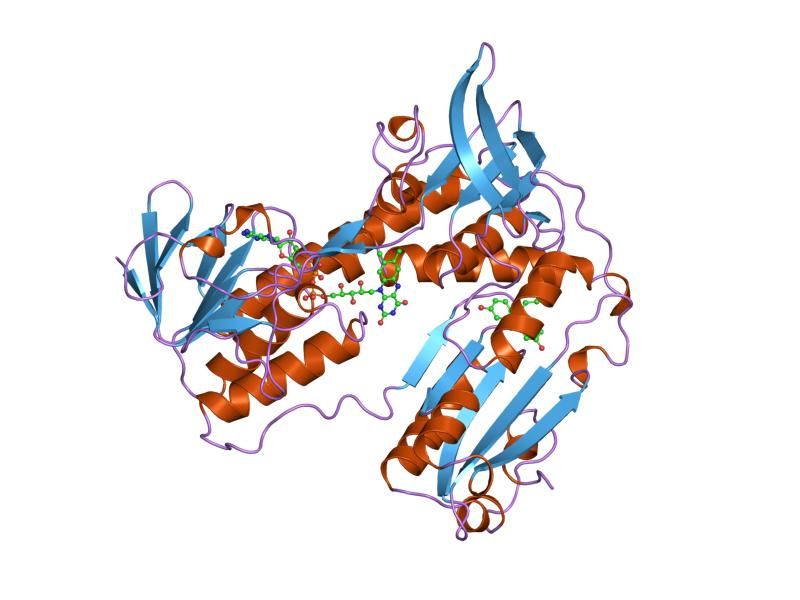 File:PDB 1xan EBI.jpg