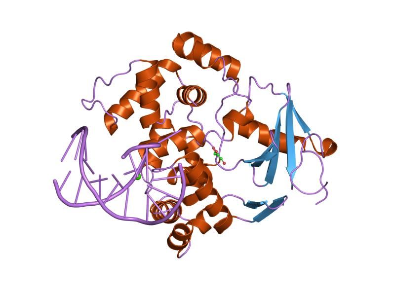 File:PDB 1yqk EBI.jpg