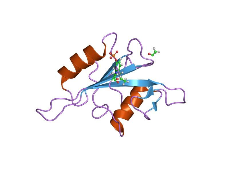 File:PDB 2etz EBI.jpg