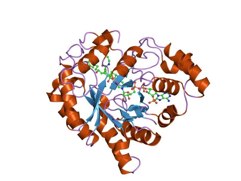 File:PDB 2f38 EBI.jpg