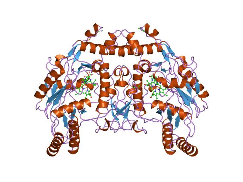 File:PDB 5nse EBI.jpg