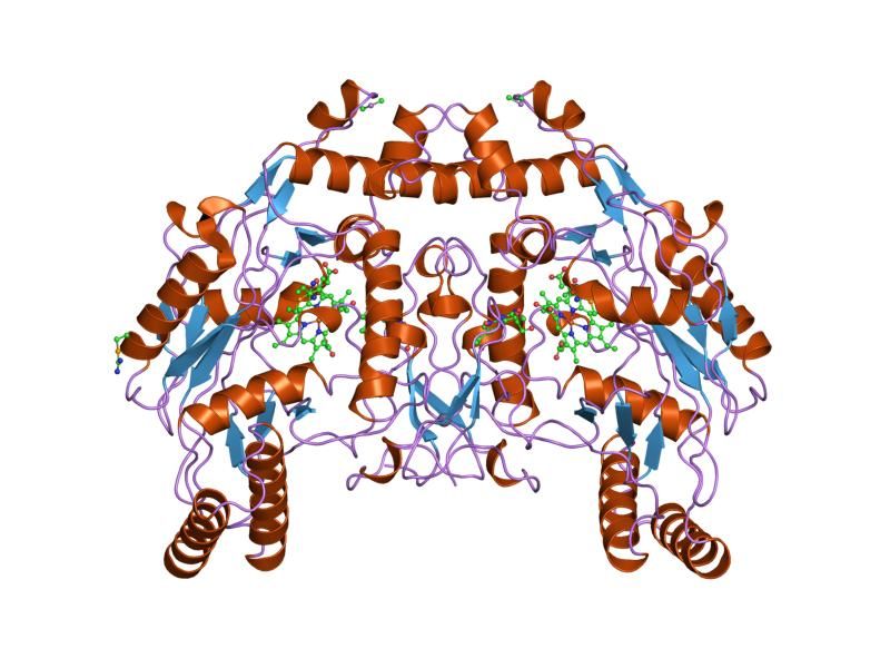 File:PDB 9nse EBI.jpg