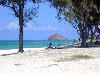 File:Paaka kahakai kailua.jpg