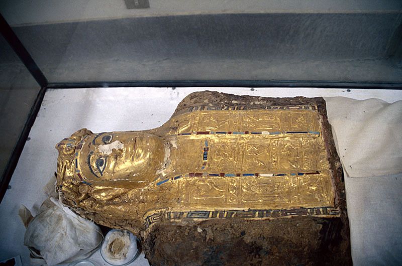 File:ValleyMummiesMummy2.jpg