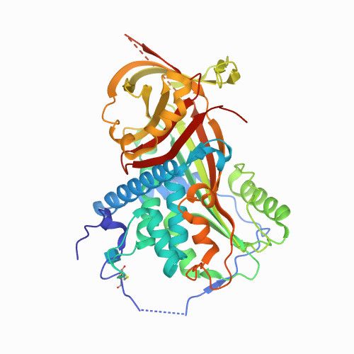 File:Angiotensinogen.jpg