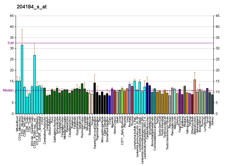 File:PBB GE ADRBK2 204184 s at fs.png