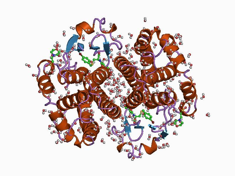 File:PDB 1aqv EBI.jpg