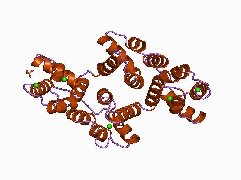 File:PDB 1bc0 EBI.jpg