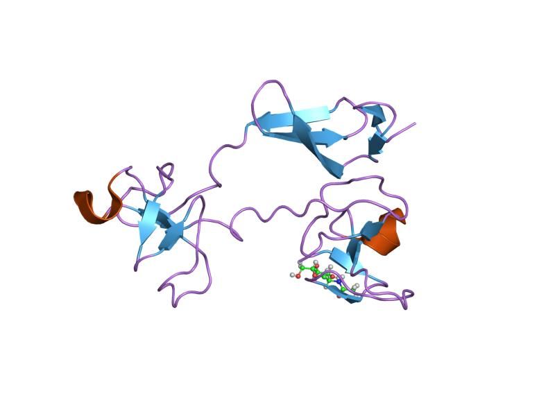 File:PDB 1e8b EBI.jpg