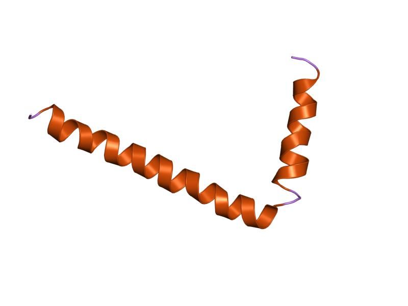 File:PDB 1fjk EBI.jpg