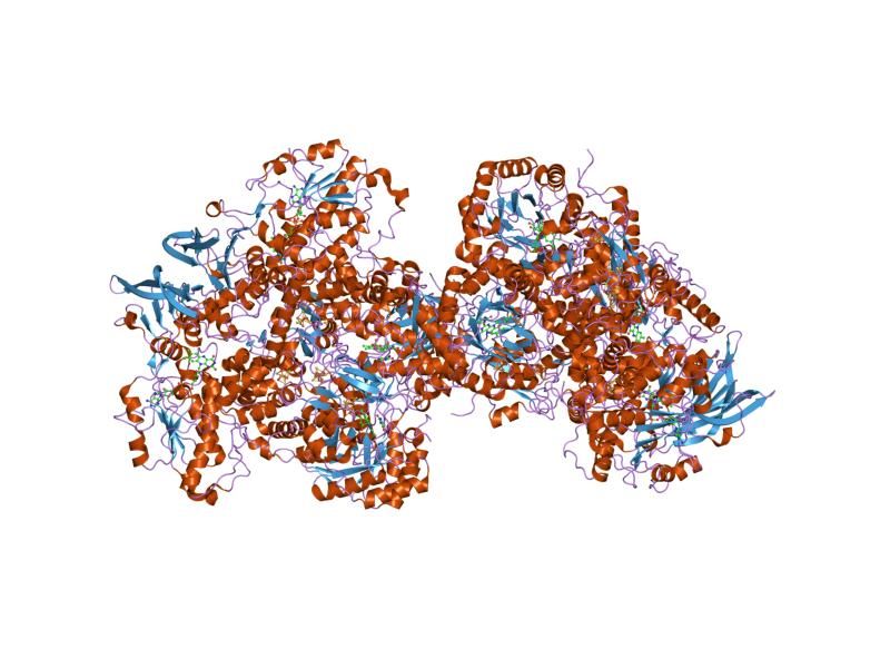 File:PDB 1gte EBI.jpg