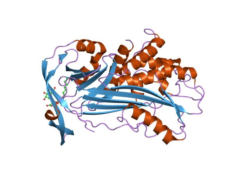 File:PDB 1iz2 EBI.jpg