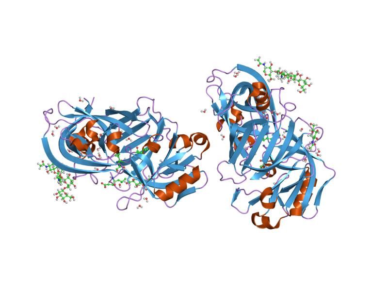 File:PDB 1lyb EBI.jpg