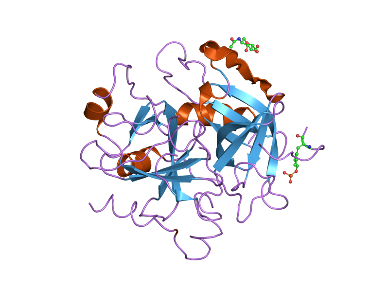 File:PDB 1twx EBI.png