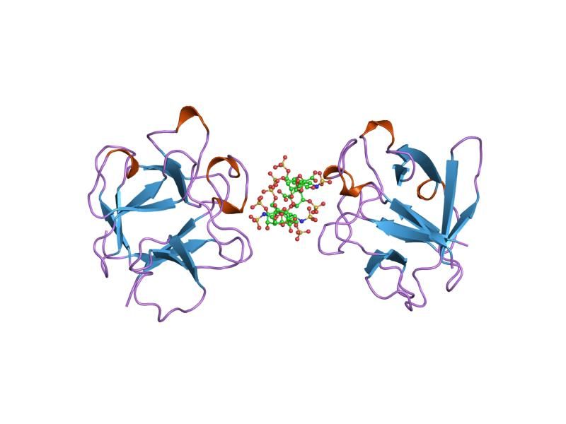 File:PDB 2axm EBI.jpg