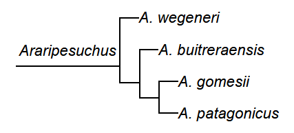 File:Soto et al 2011 Araripesuchus cladogram.png