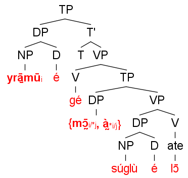 File:Wan tree for Logophoricity, children.png