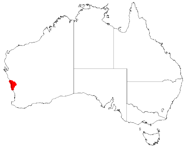 File:Conostylis canteriata DistMap12.png