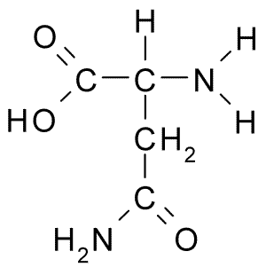 File:L-Asparagine.png