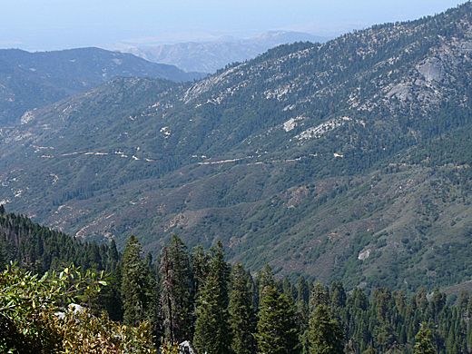 File:Mineral King Road from Tar Gap Trail.jpeg