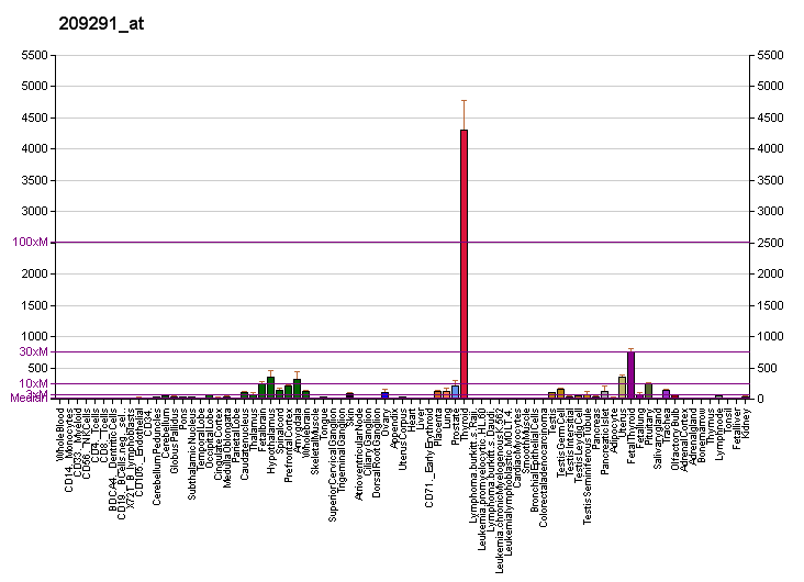 File:PBB GE ID4 209291 at fs.png