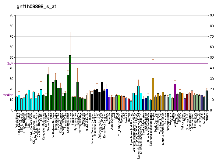 File:PBB GE TMEM117 gnf1h09898 s at fs.png