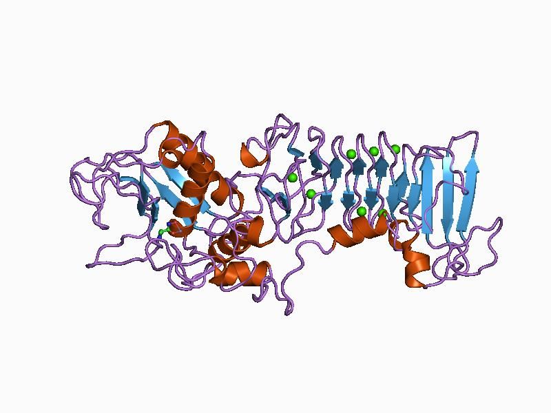 File:PDB 1af0 EBI.jpg