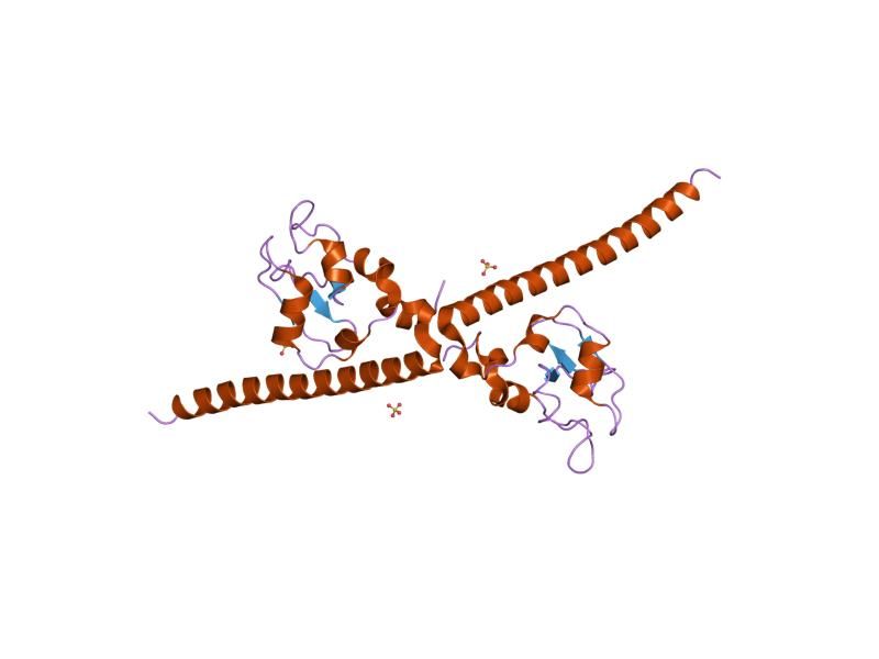 File:PDB 1f3h EBI.jpg