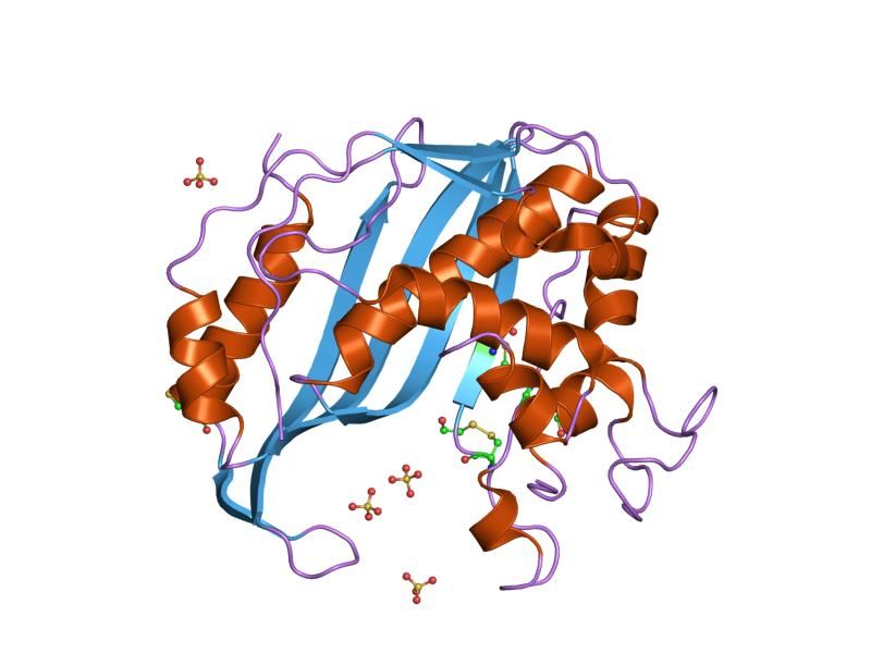 File:PDB 1hw3 EBI.jpg