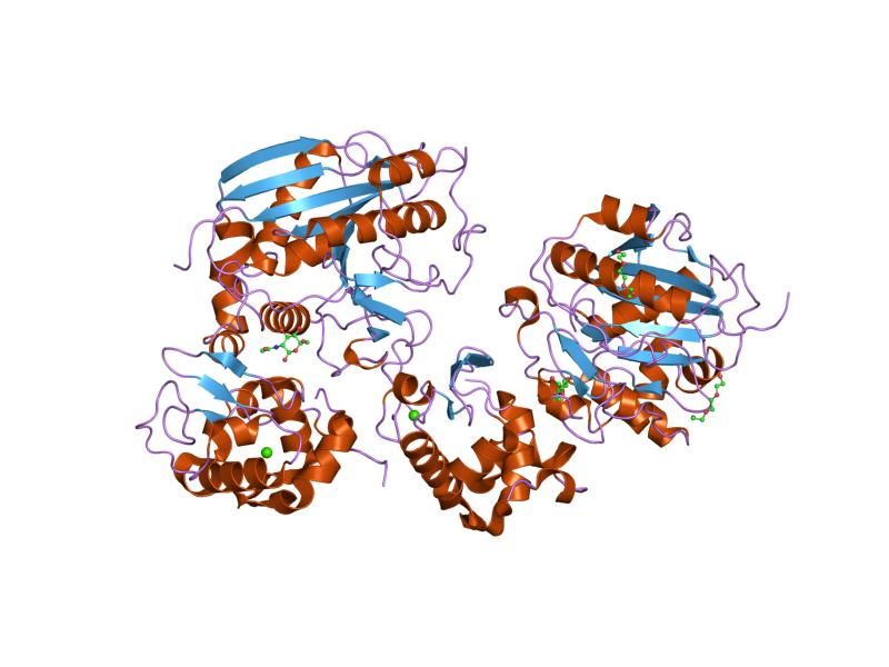 File:PDB 1nmm EBI.jpg