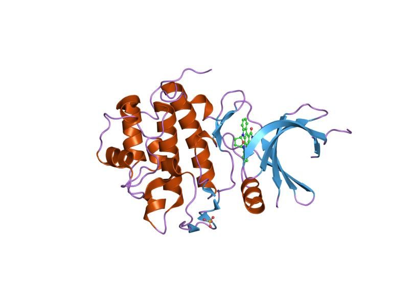 File:PDB 1nvs EBI.jpg