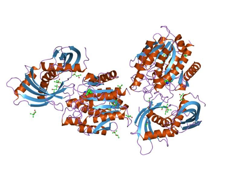 File:PDB 2bo9 EBI.jpg